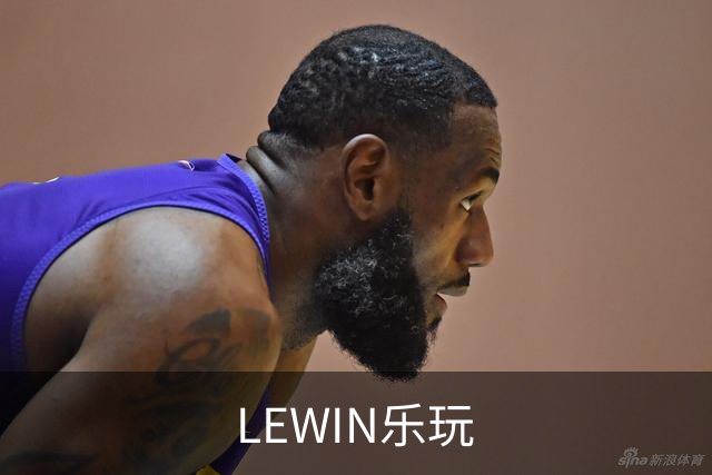 LEWIN乐玩公司介绍